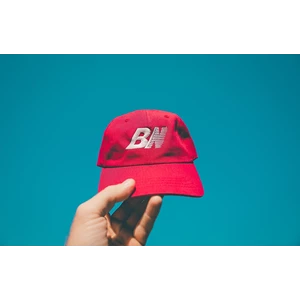 Topi